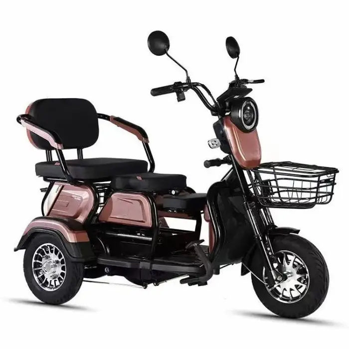 Vélo électrique à 3 roues TTY Factory 600W 48V