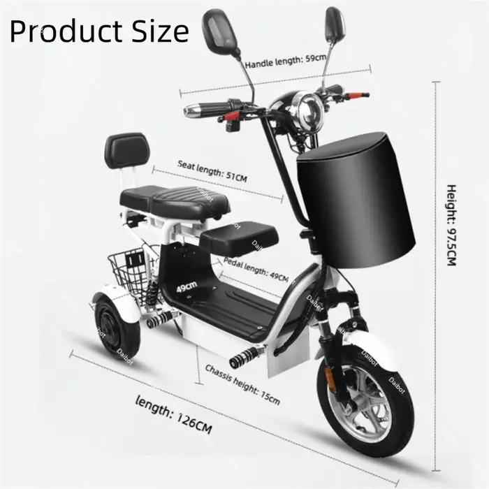 Tricycle électrique à double moteur 500W à 3 roues