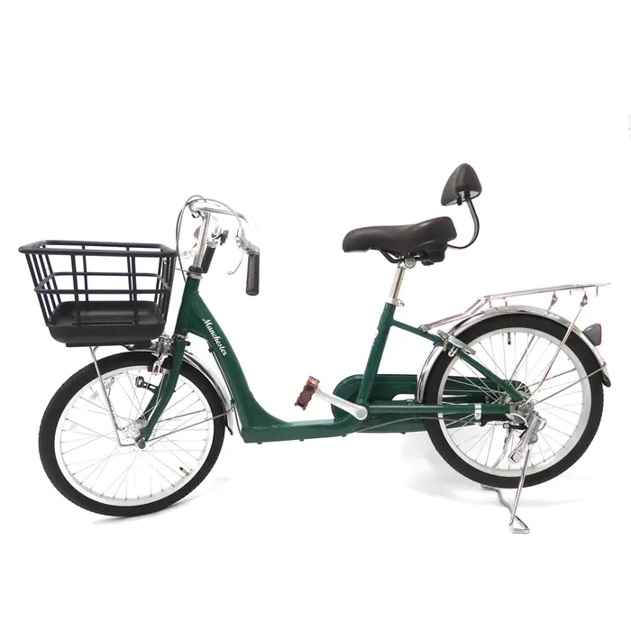 Ville récréative e vélo travail mobilité vélo Shopping épicerie avec grand panier avec dossier de si