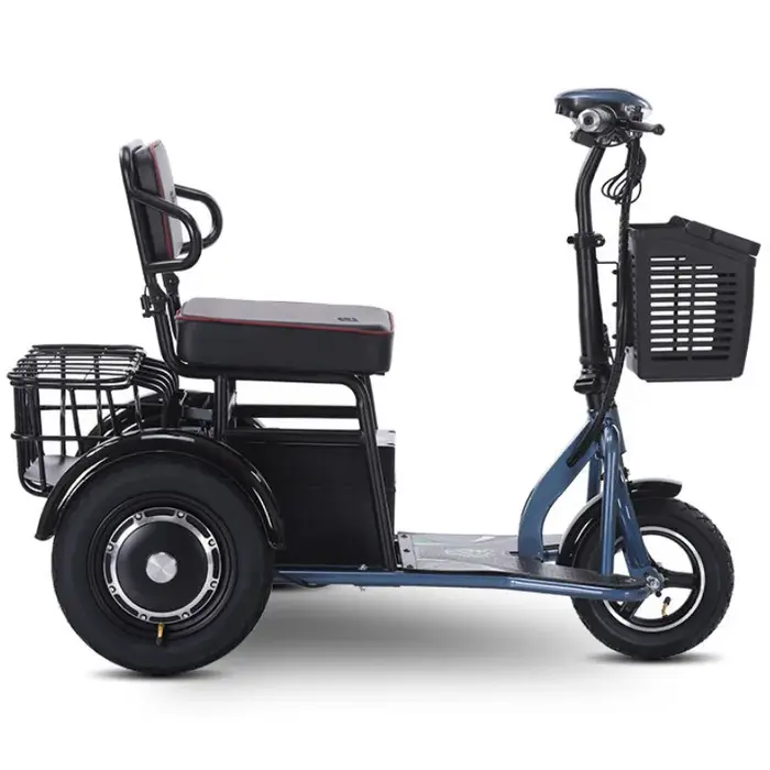 Tricycle électrique à double moteur