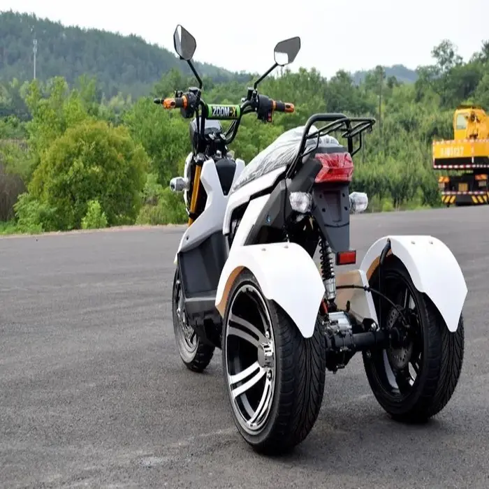Tricycle électrique haute vitesse 70 km/h