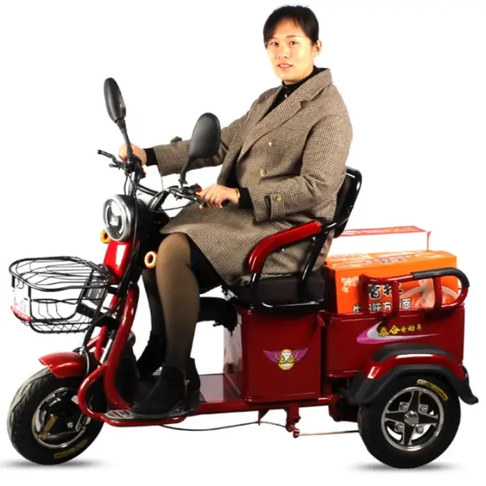 Tricycle électrique Cargo puissant pour adulte, 3 roues avec siège enfant/réglable, Scooter électriq
