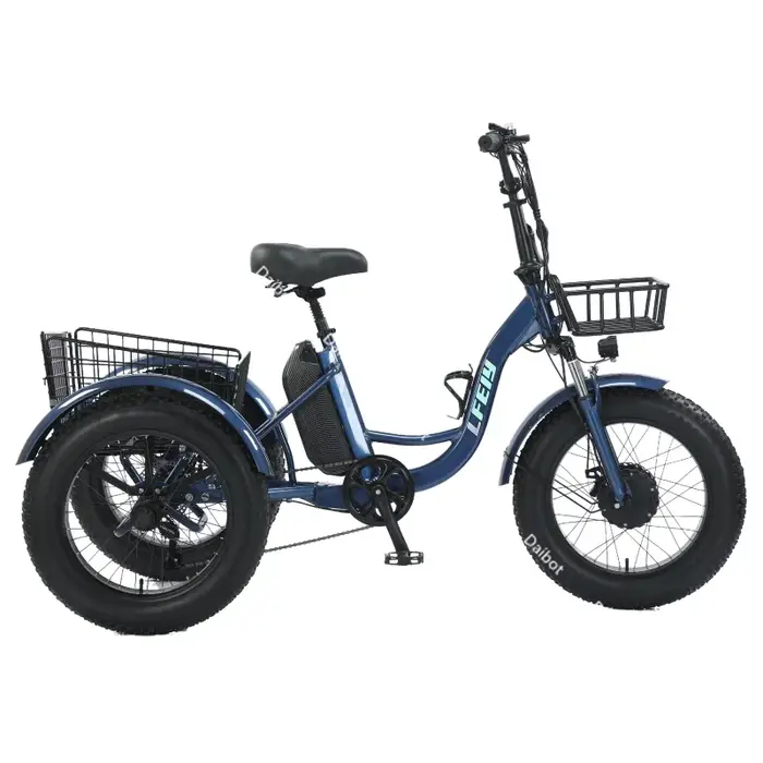 Nouveau 3 roues gros pneu adulte vélo électrique femmes ville 500W 20 pouces famille Cargo Tricycle