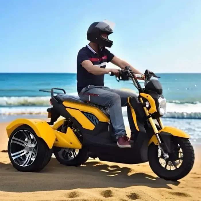 Tricycle électrique haute vitesse 70 km/h