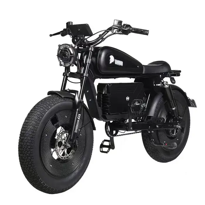 HimPain-Vélo électrique Smile 73