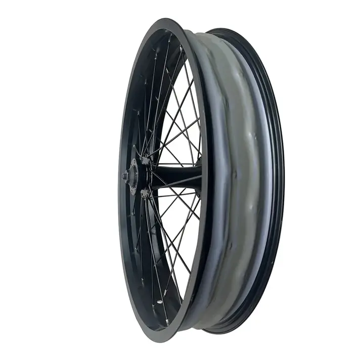 Roue avant de vélo Fat Bike 20x4.0 avec moyeu à double roulement