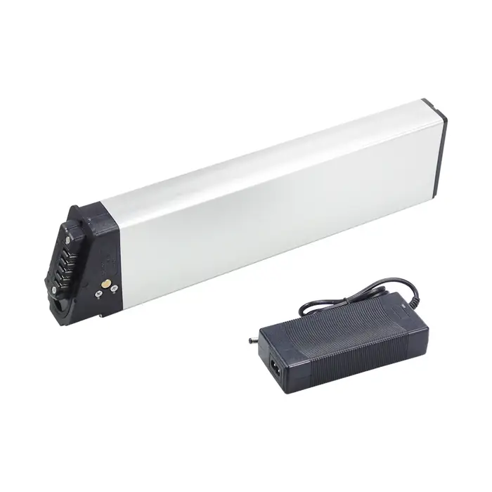 Lectric XP Lite 2.0 batterie Ebike 48V 14Ah 672Wh