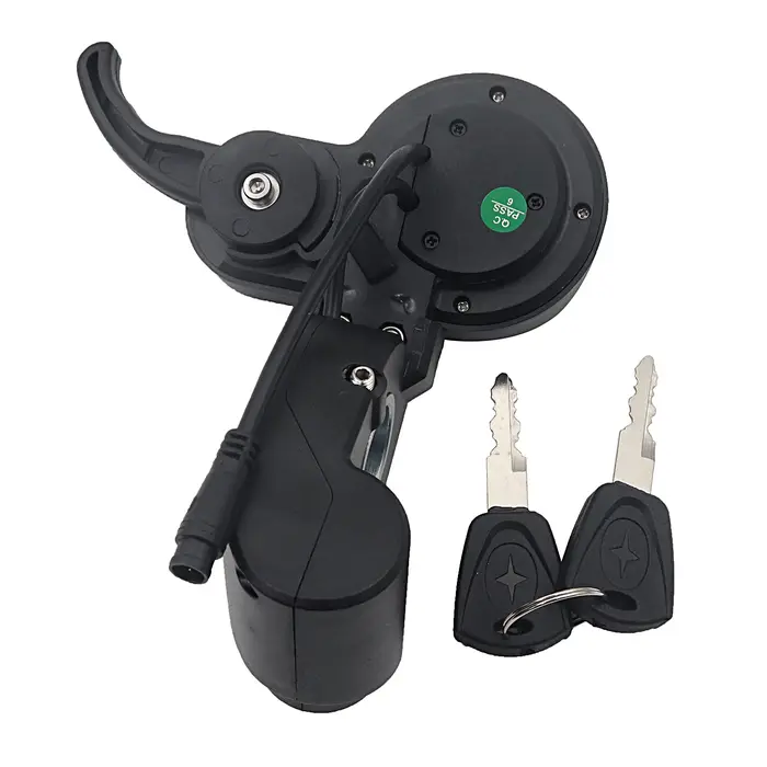 Écran LCD pour Scooter électrique 36V-60V ZQ-100