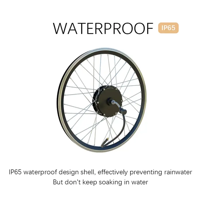 Moteur de roue de vélo électrique 20-29 pouces avec 36V 48V 250W 350W 500W