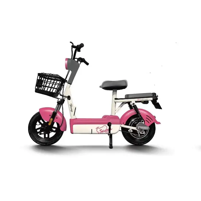 Vélo Électrique Moderne et Élégant à Prix d'Usine en Gros, 48V 350W, Vélo Électrique Féminin avec Pa
