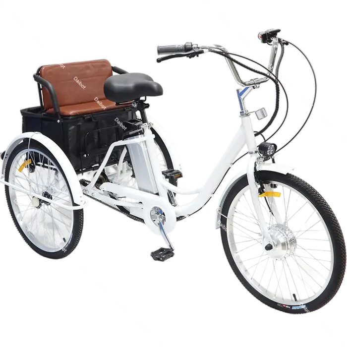 Vélo électrique Cargo à trois roues pour adultes âgés e vélos 350W Tricycle