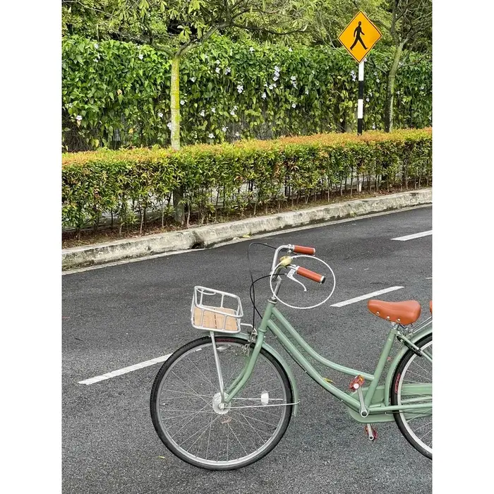 Leviers de frein Dia-Compe City Retro pour vélo, 22,2 mm, en alliage d'aluminium, pour freins V, installation articulée, fixation rapide