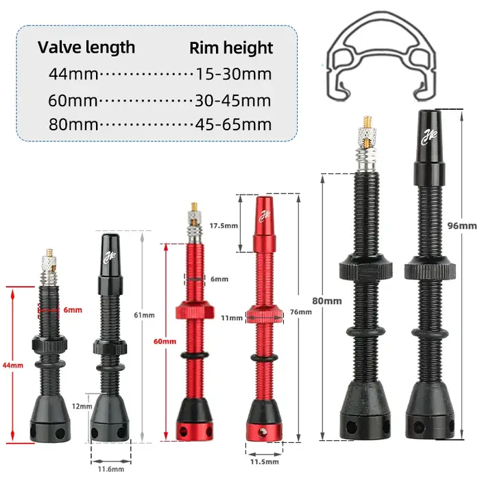 Valve Tubeless F/V pour vélo