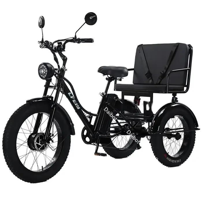 Tricycle électrique puissant à 3 roues et pneus larges pour adultes, deux places, 750W, pour la montagne, la neige, la famille, vélo électrique, trike, pour homme