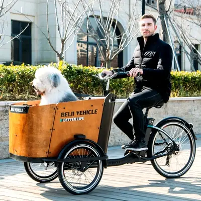 Vélo cargo électrique pour la promenade du chien