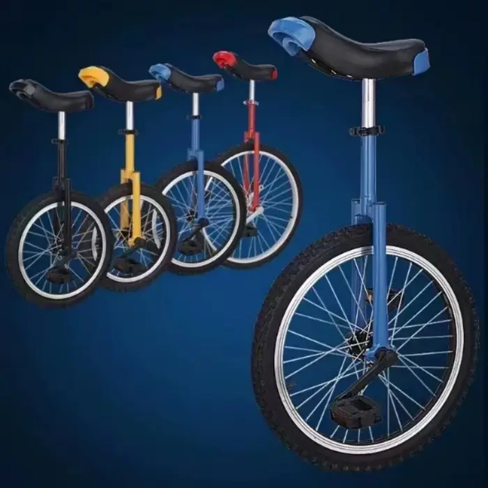 Monocycle mixte pour adultes