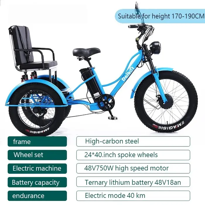 Nouveau Tricycle électrique à 3 roues vélo Cargo avec passagers personnes âgées adultes 2 places 750W puissant