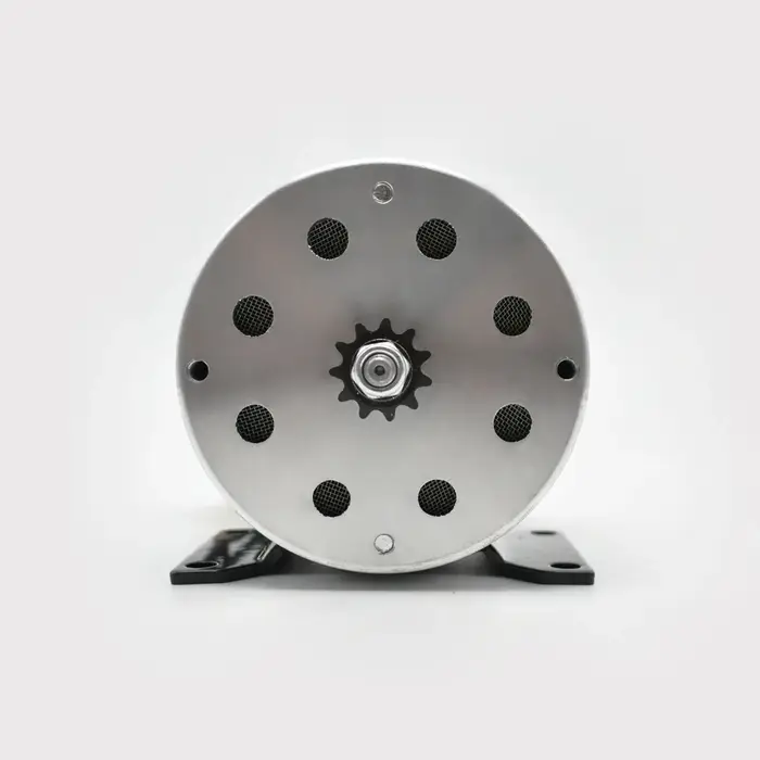 Moteur de scooter électrique 500W 800W 1000W