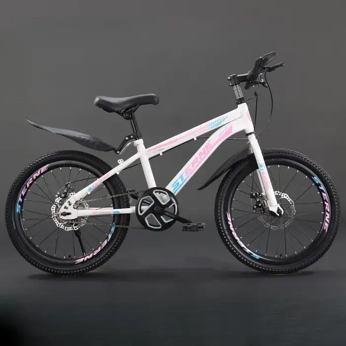 Les vélos pour enfants conviennent aux adolescents de 6 à 12 ans qui utilisent des freins à disque à