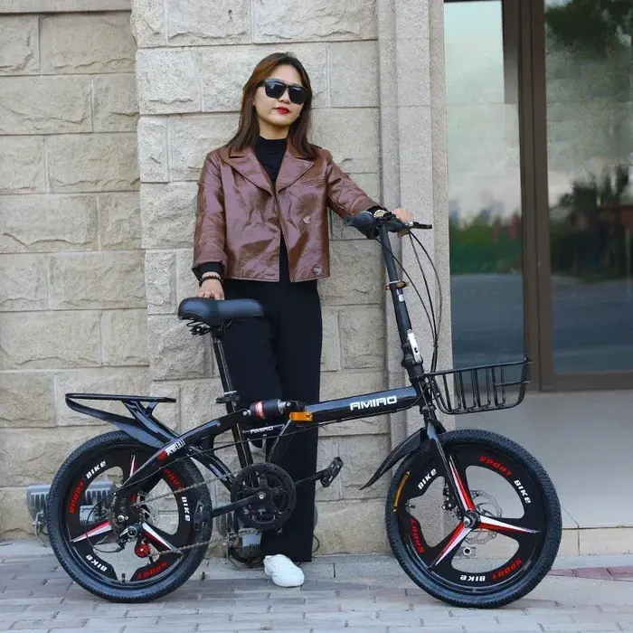 Vélo pliant adulte de 20 pouces