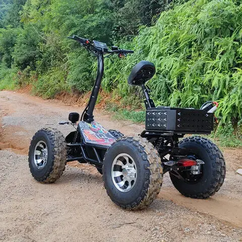 20 pouces tout Terrain 4x4 hors route Scooter électrique 8000W60V