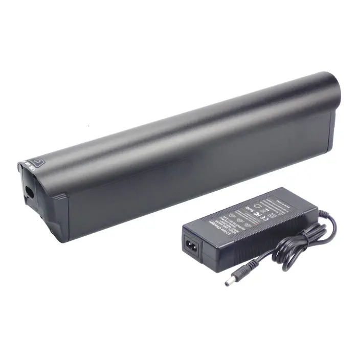 Jasion Roamer-Batterie de rechange pour vélo électrique avec chargeur