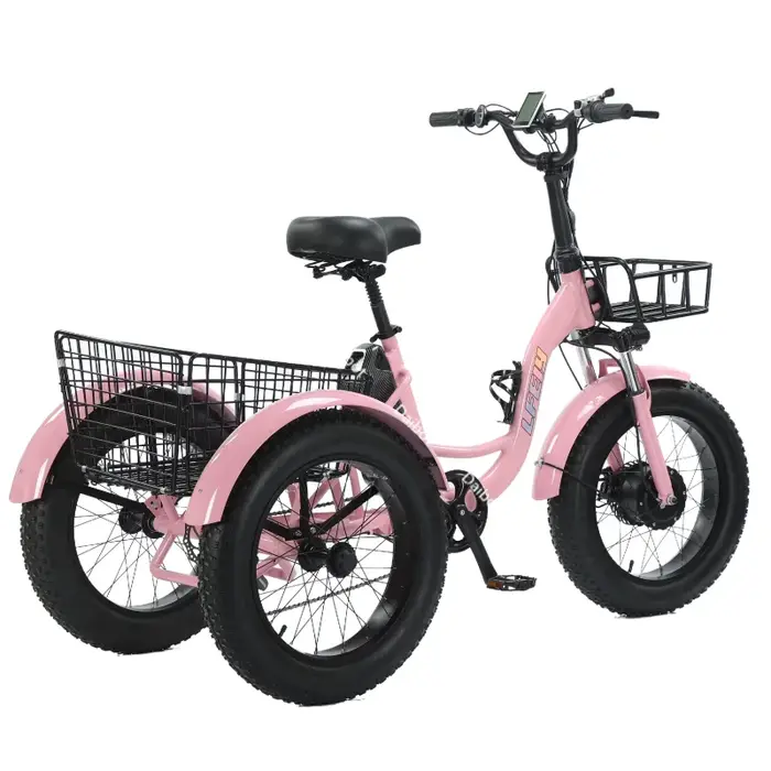 Nouveau 3 roues gros pneu adulte vélo électrique femmes ville 500W 20 pouces famille Cargo Tricycle