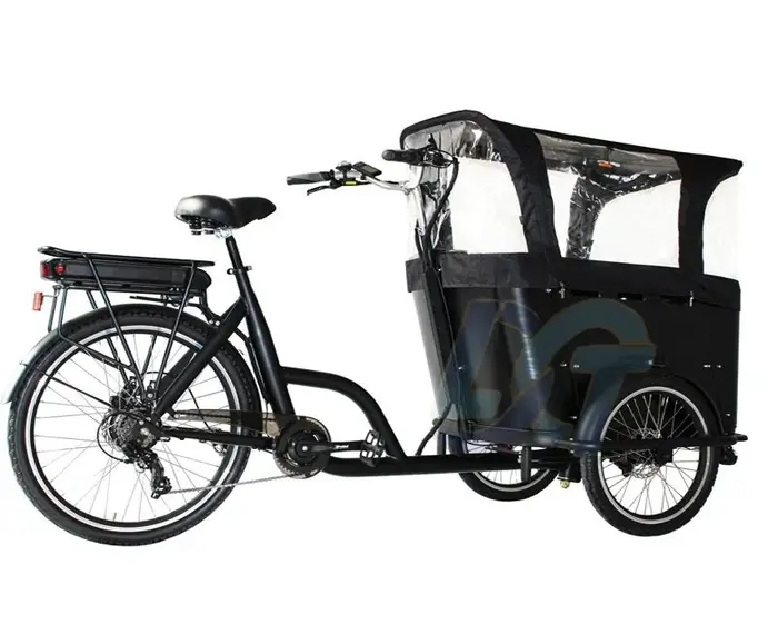 Vélo cargo électrique à 3 roues de 250 watts