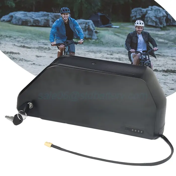Polly-Batterie 21700 pour Vélo Électrique Bafang/Tyilamart