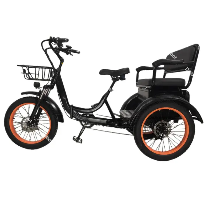 Nouveau tricycle électrique familial pour adultes avec siège arrière