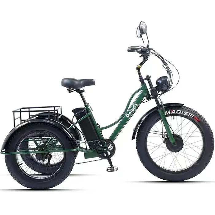 24 pouces gros pneu puissant vélo électrique pour hommes 750w Cargo Tricycle