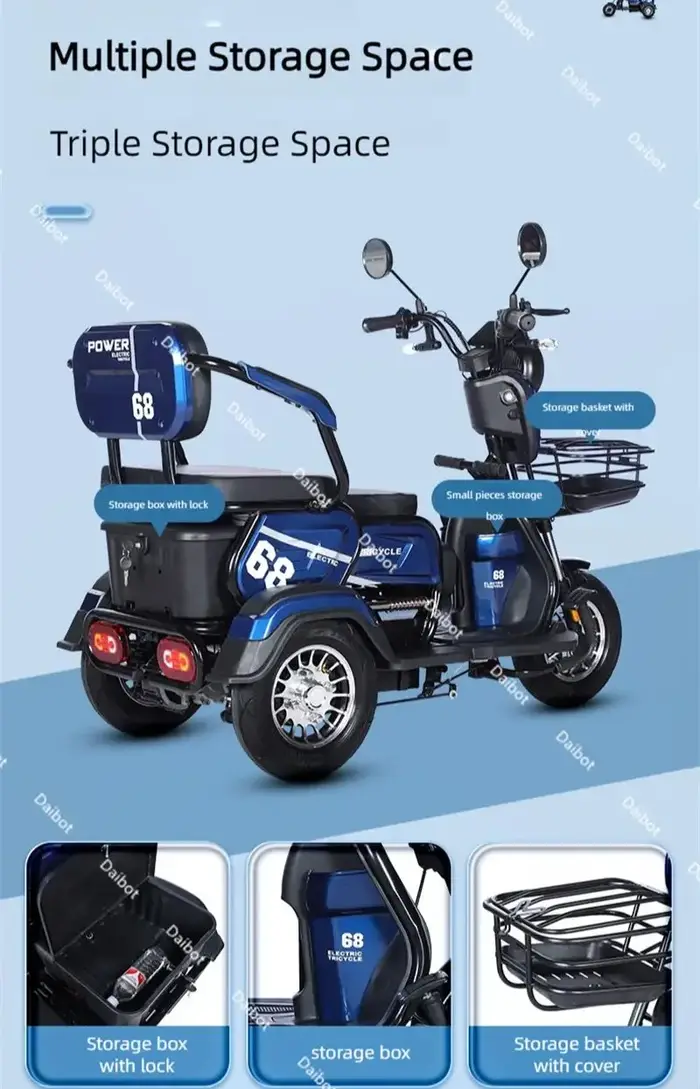 Tricycle électrique adulte Senior avec siège passager 600W 48V 20AH famille tout Terrain Scooter