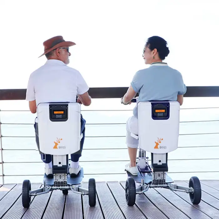 Tricycle Électrique Pliable et observateur pour Personnes Âgées
