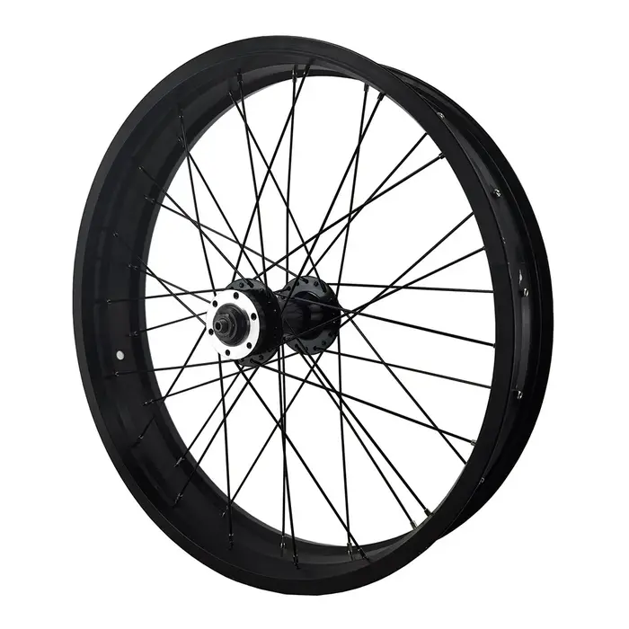 Roue avant de vélo Fat Bike 20x4.0 avec moyeu à double roulement