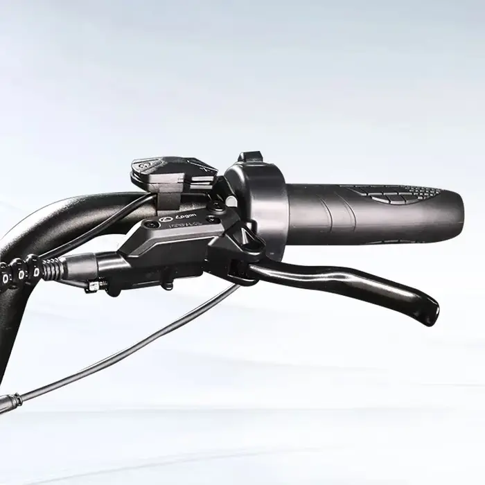 Accessoires Fatbike V20