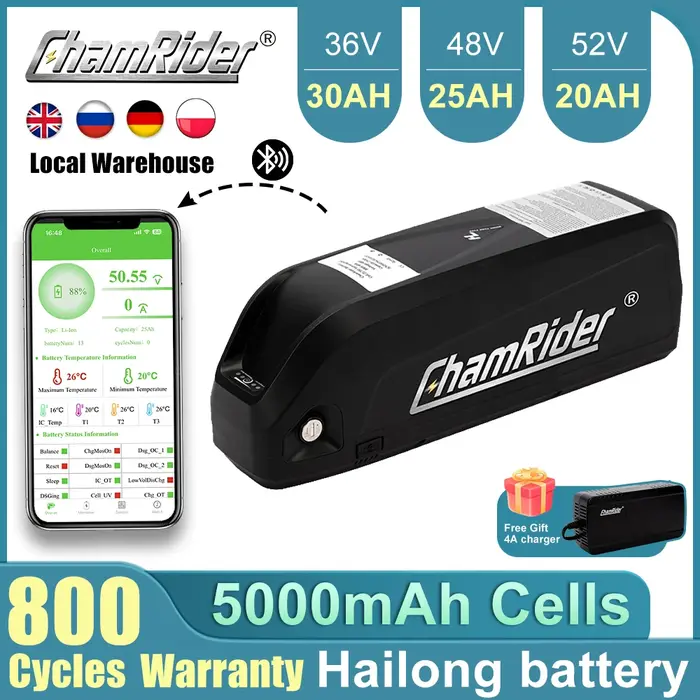ChamRider-Batterie pour véhicule électrique