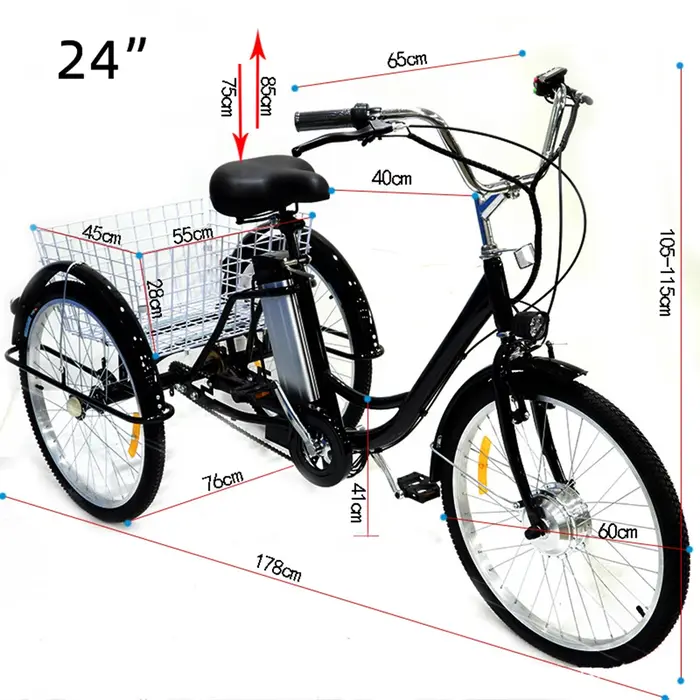 Vélo électrique à trois roues 36V 24 pouces