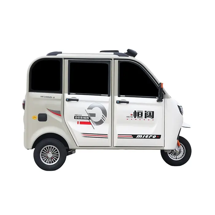 Nouveau tricycle électrique adulte à vendre