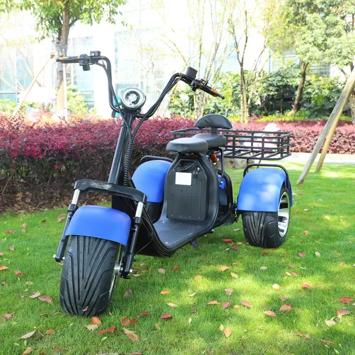 2000W moteur Tricycle électrique neige large pneu adulte déplacements loisirs mobilité Scooter siège confortable panier
