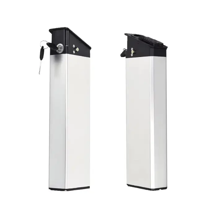 Batterie de remplacement pour vélo électrique Engwe EP-2 Pro Engine X