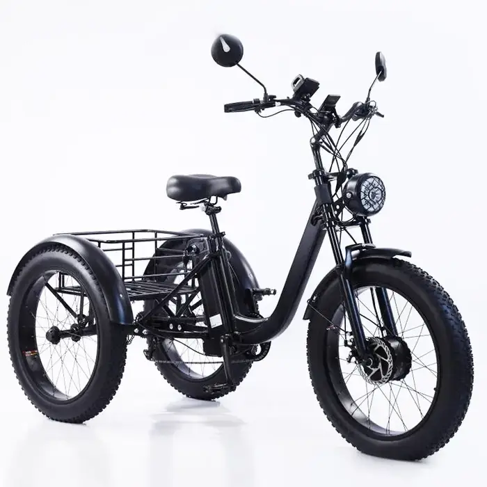 Vélo électrique 24 pouces pour homme et femme