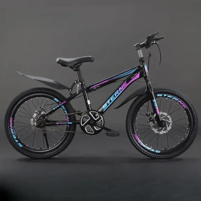 Les vélos pour enfants conviennent aux adolescents de 6 à 12 ans qui utilisent des freins à disque à amortissement des