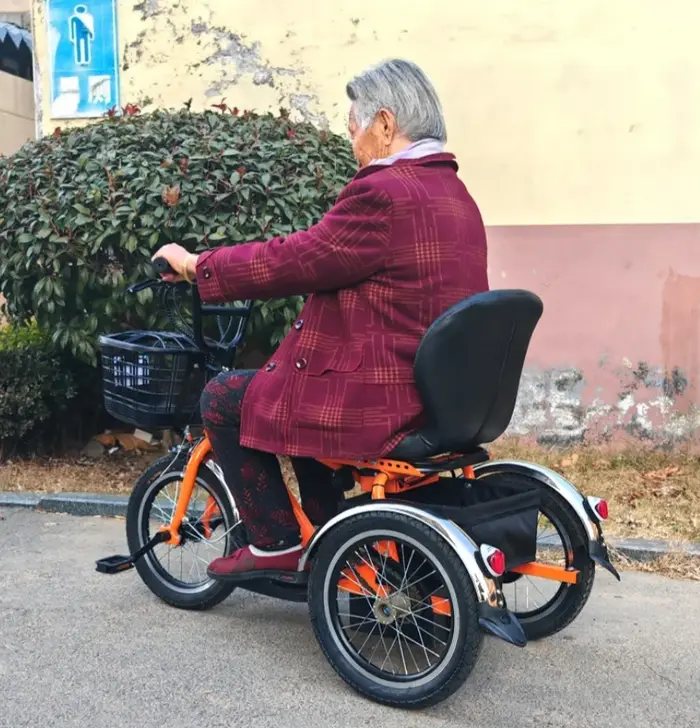 Mini vélo électrique à trois roues 250W 24V