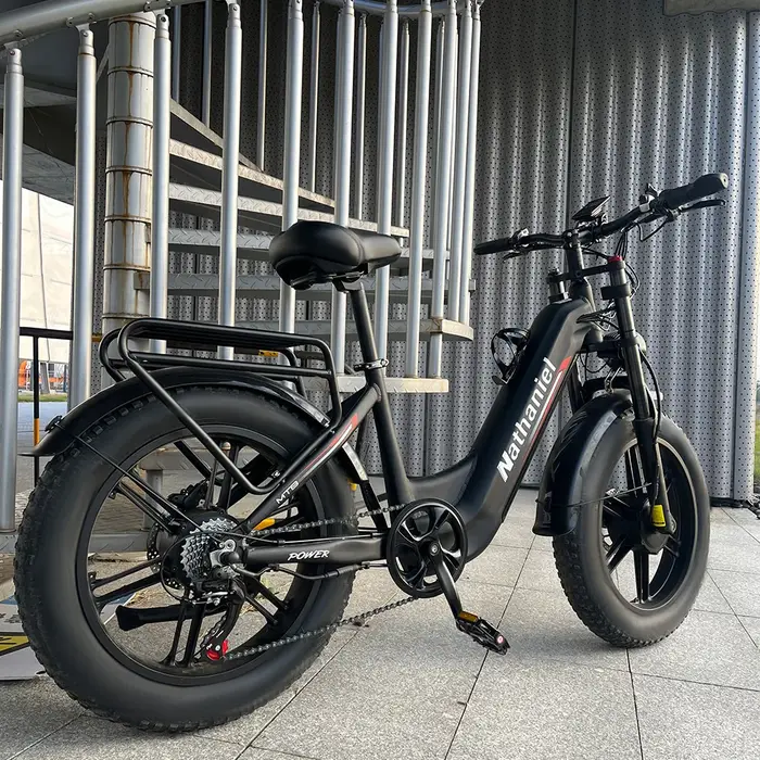 Roue intégrée à double entraînement pour vélo électrique 2000W 20x4.0