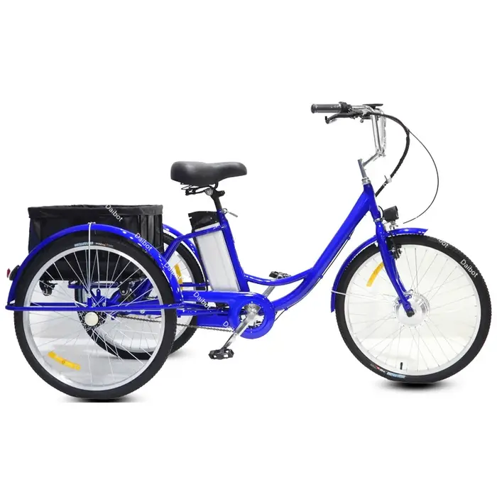 Vélo électrique à 3 roues de 24 pouces