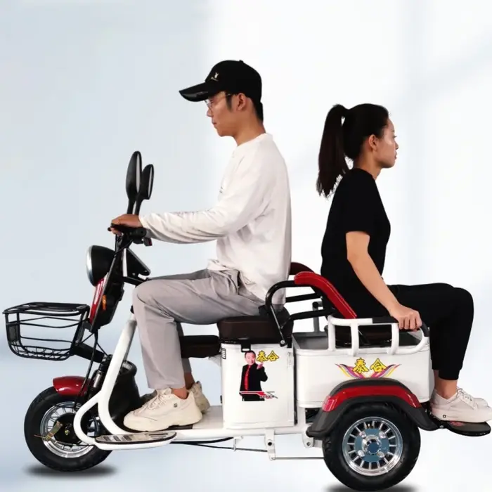 Tricycle électrique Cargo puissant pour adulte
