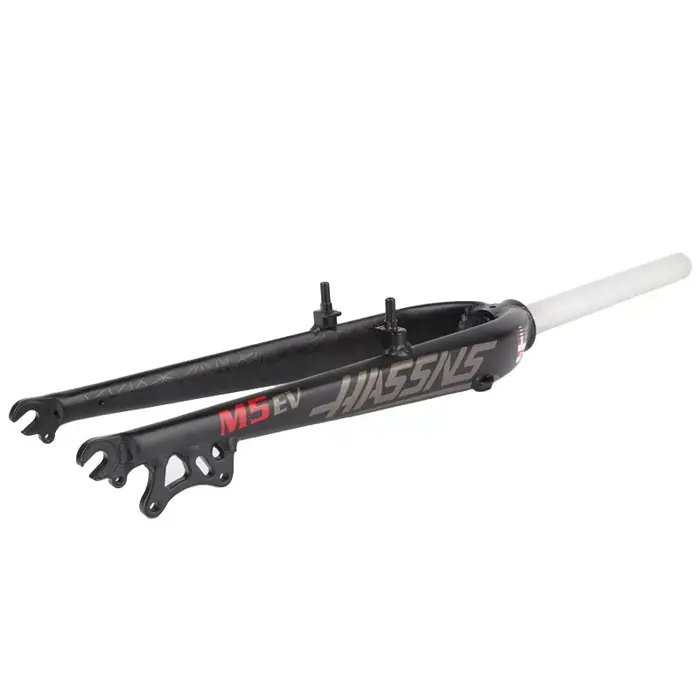 HASSNS fourche de vélo rigide