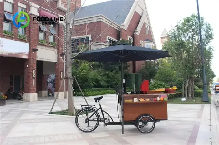 Vélo Cargo électrique pour adultes