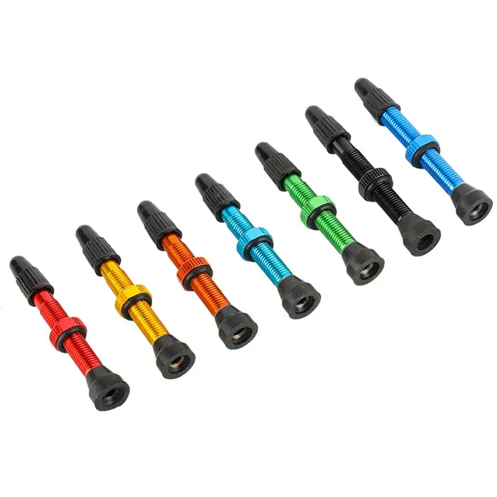Tiges de Valve Presta Tubeless pour vélo, en alliage d'aluminium, 40mm 44mm 48mm 60mm 80mm, avec out