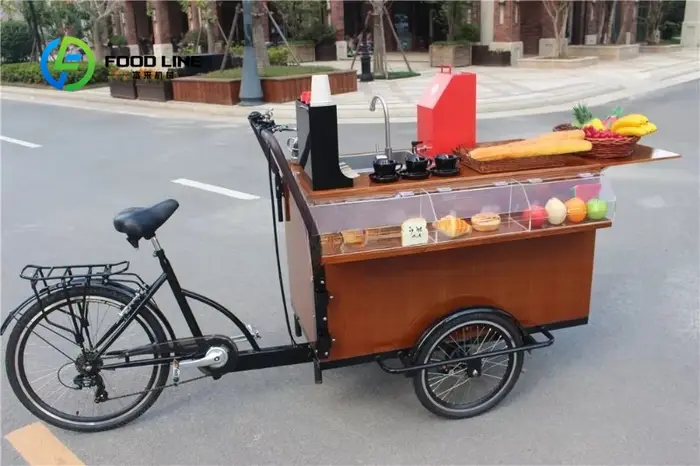 Vélo Cargo électrique pour adultes